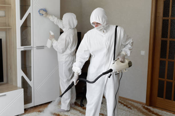 Best Toxic Mold Removal  in Wmington, IL